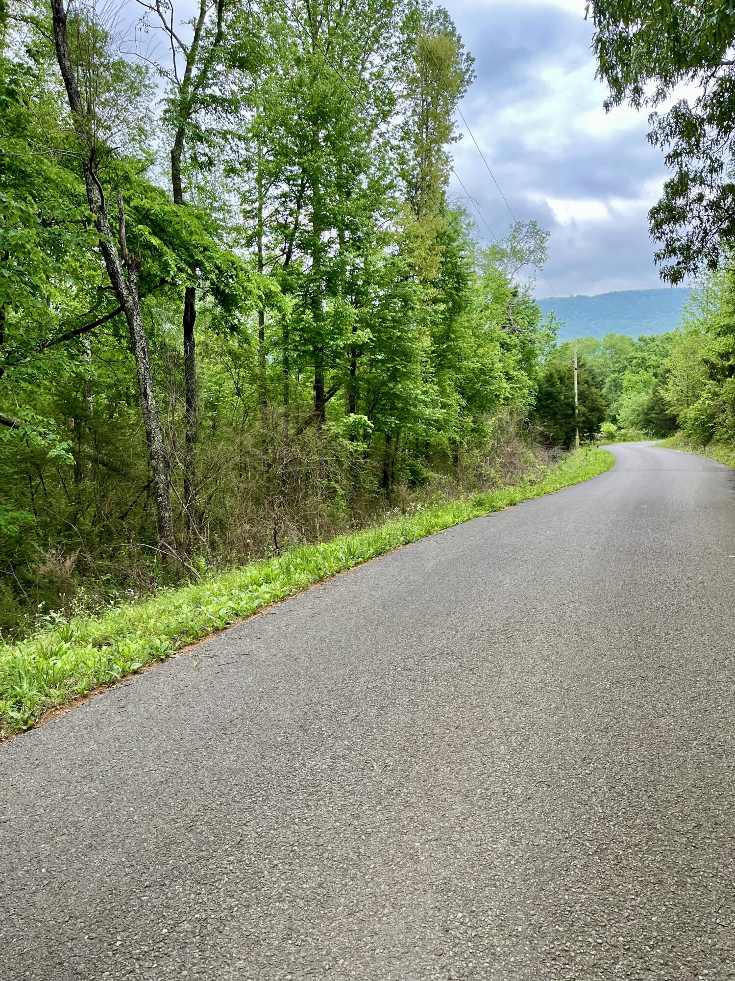 Lot 17 Jack Smith Road Dunlap, TN 37327 - Photo 4 of 4 lot 17c