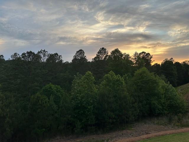 515 Perdue Trail Canton, GA 30115 - Photo 62 of 67