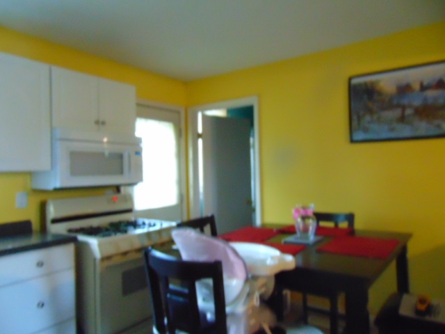 8044 Dale Road Dale, IN 47523 - Photo 4 of 11