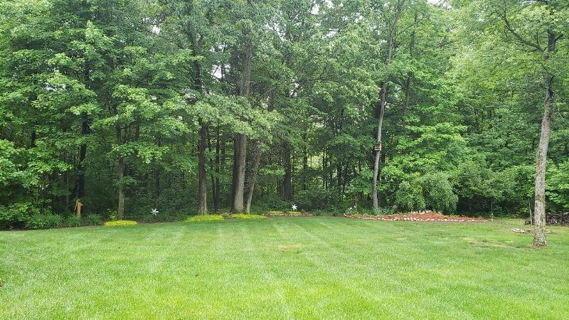 23255 Bohn Road Belleville, MI 48111 - Photo 27 of 31 Photo 27