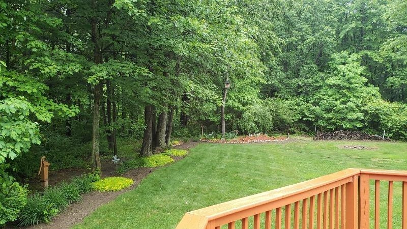 23255 Bohn Road Belleville, MI 48111 - Photo 3 of 31 Photo 3