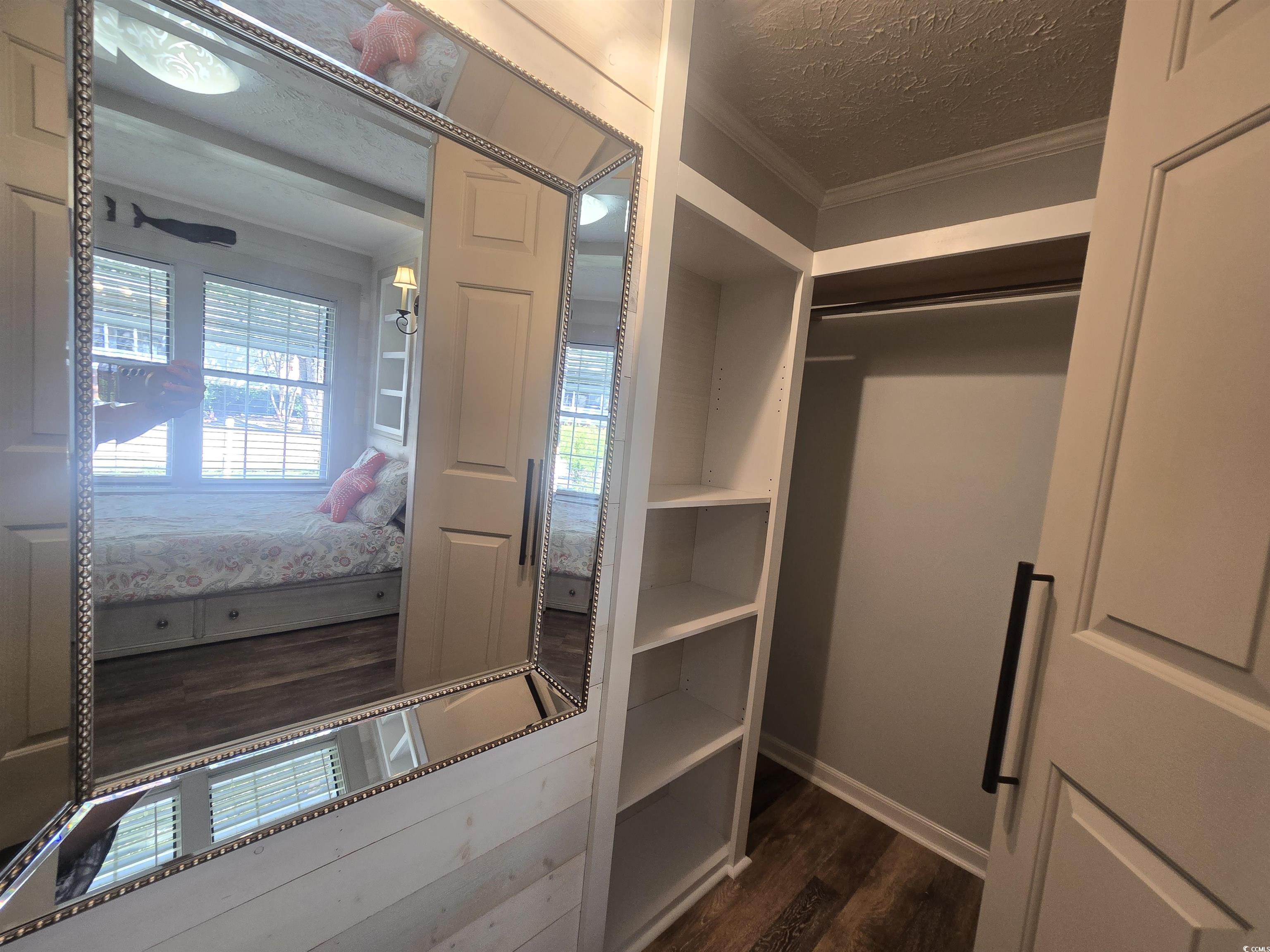 359 Lagoon Circle Murrells Inlet, SC 29576 - Photo 31 of 39 Walk in closet featuring dark wood-style floors