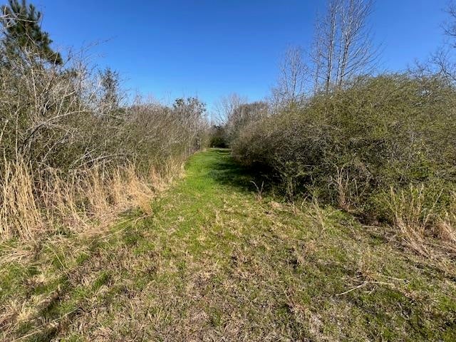 55-ac Cool Springs Road Opp, AL 36467 - Photo 25 of 30 Gallery Image 25