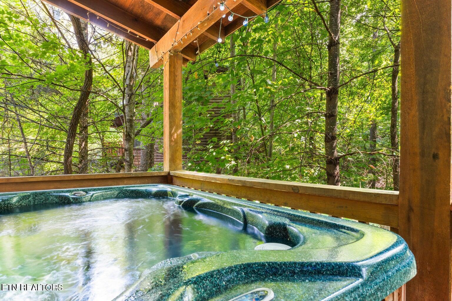 2217 Red Bud Road Sevierville, TN 37876 - Photo 40 of 46 Hot Tub