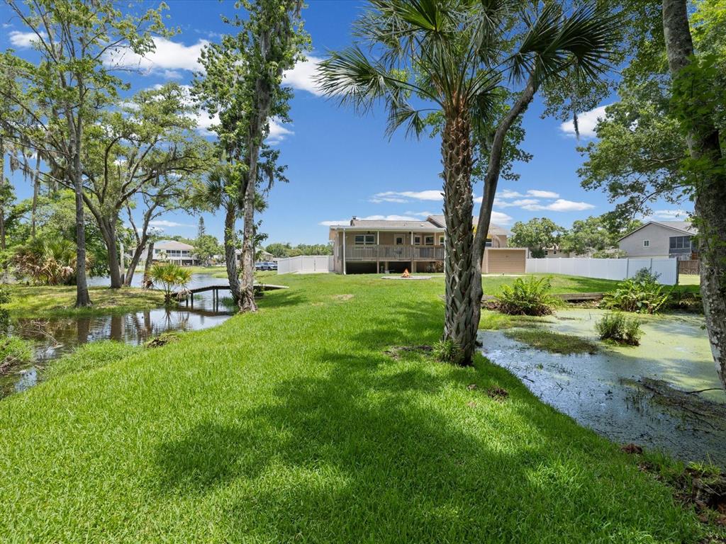 5904 Springrun Court Holiday, FL 34690 - Photo 6 of 53 a view of a yard with plants and trees