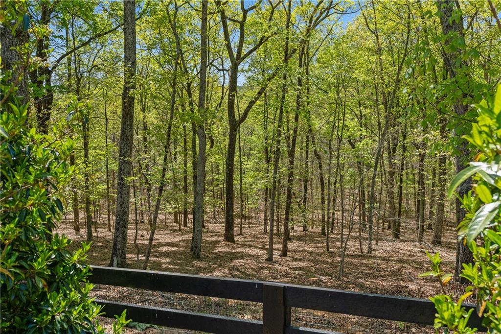 16200 Henderson Road Milton, GA 30004 - Photo 93 of 95