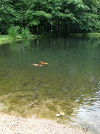 501 Mountain Road Wilbraham, MA 01095 - Photo 27 of 30 Gallery Image 27