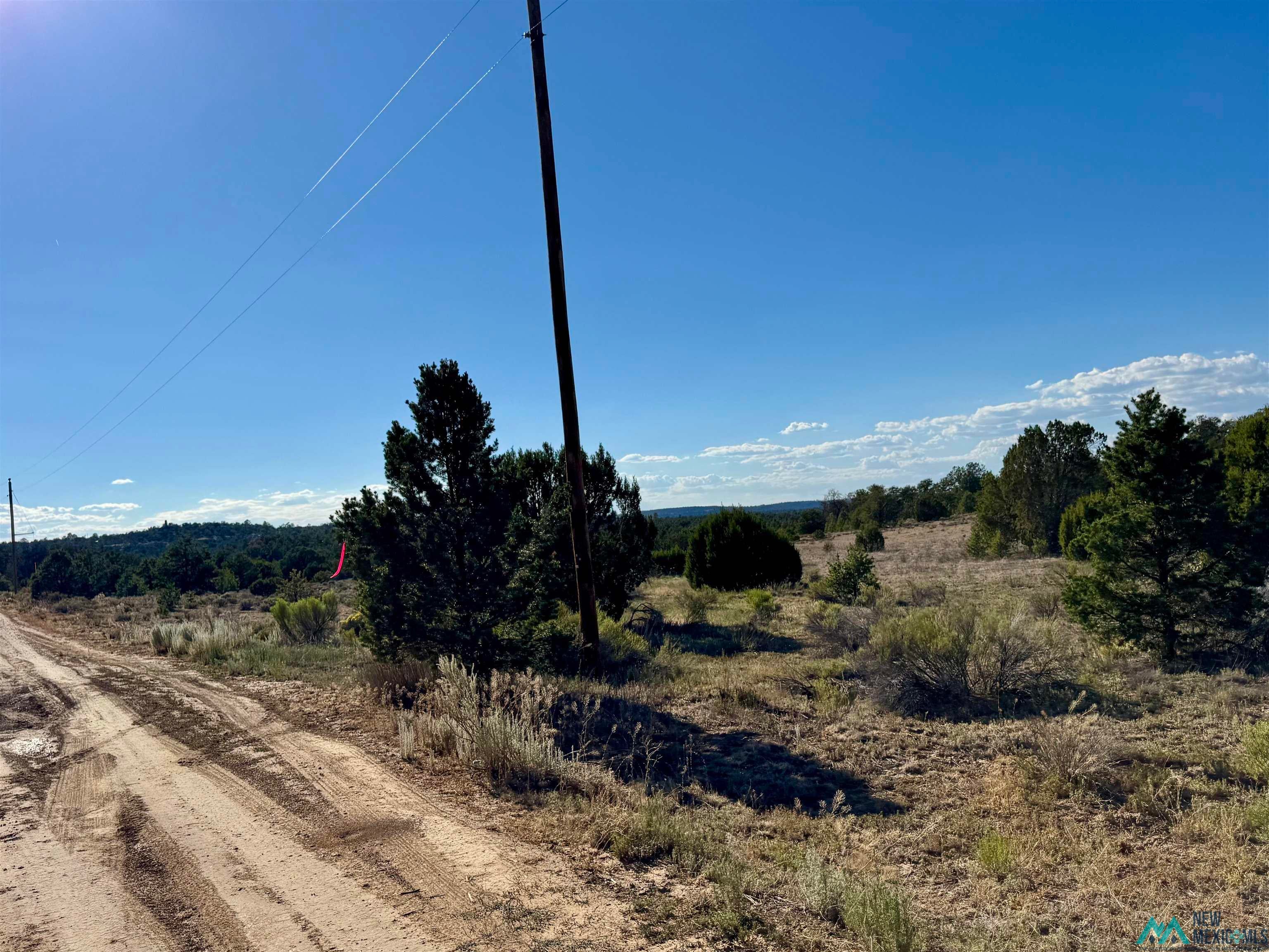 Five Five Gate Road Pinehill, NM 87357 - Photo 7 of 9 Gallery Image 7