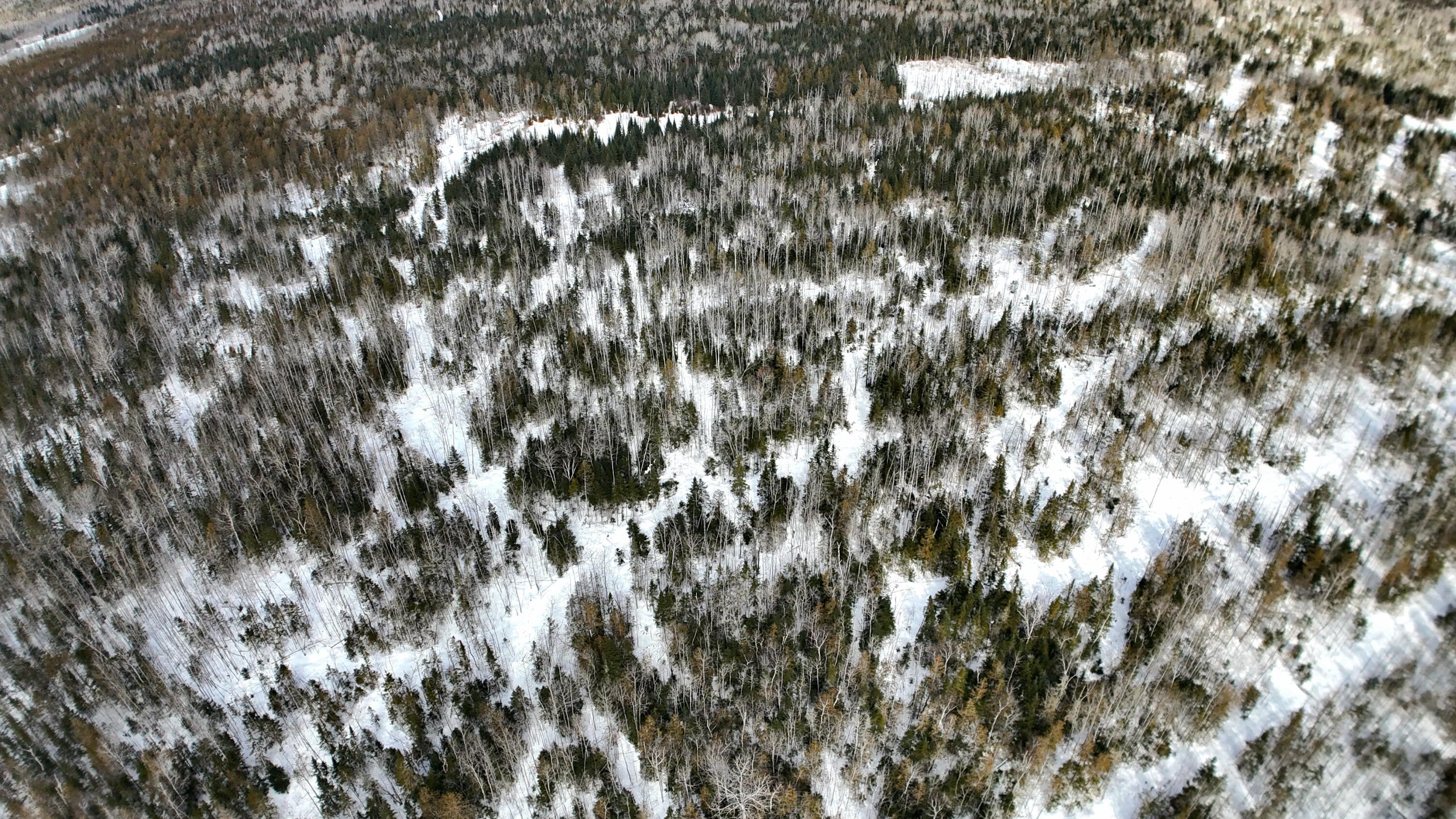 M2-l51 Quimby Road Winterville Plt, ME 04739 - Photo 5 of 14