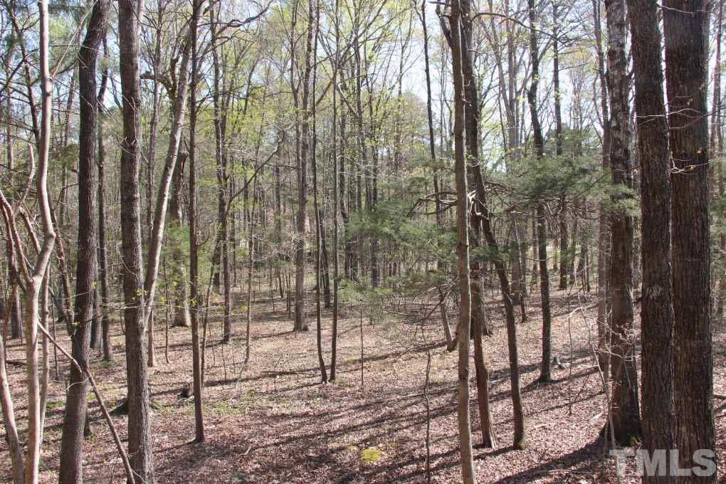 0 Springview Trail Durham, NC 27705 - Photo 14 of 17 Gallery Image 14