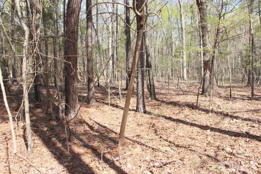 0 Springview Trail Durham, NC 27705 - Photo 8 of 17 Gallery Image 8