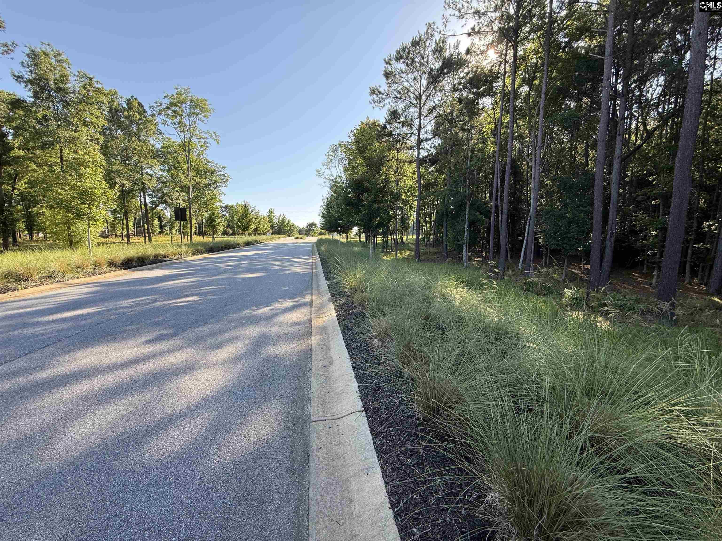 60 Circle H Woods Road Prosperity, SC 29127 - Photo 42 of 53