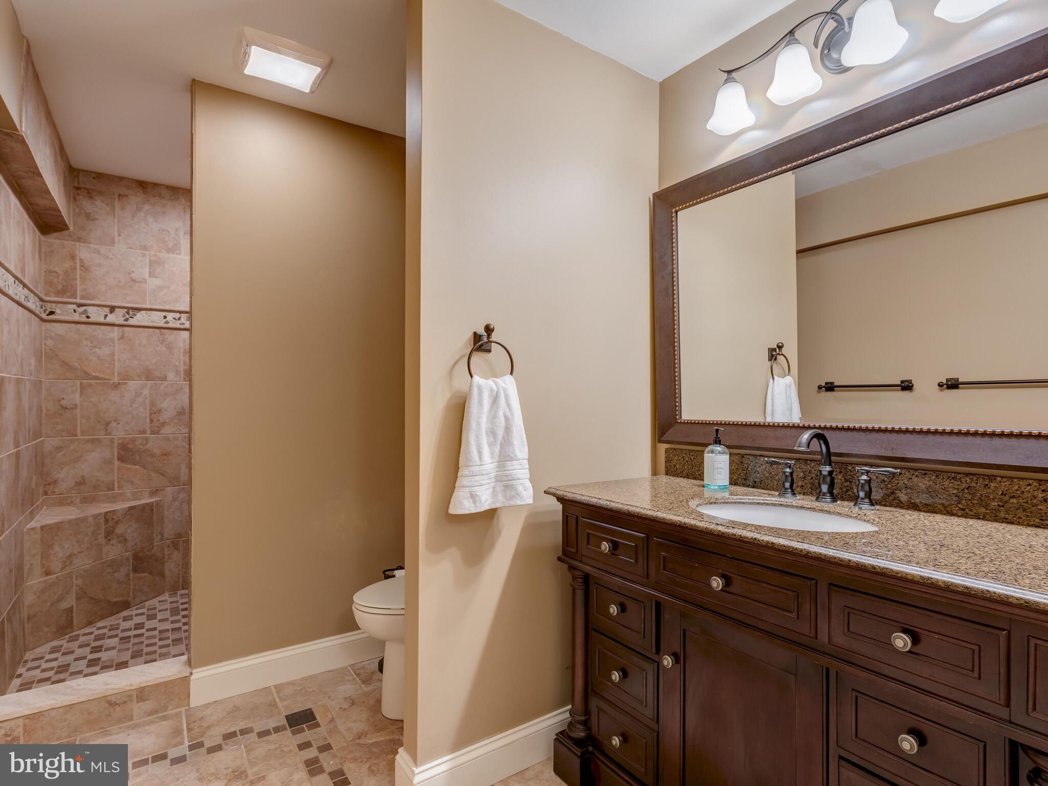 826 Mt Rose Road Chester Springs, PA 19425 - Photo 32 of 44 Basement bathroom