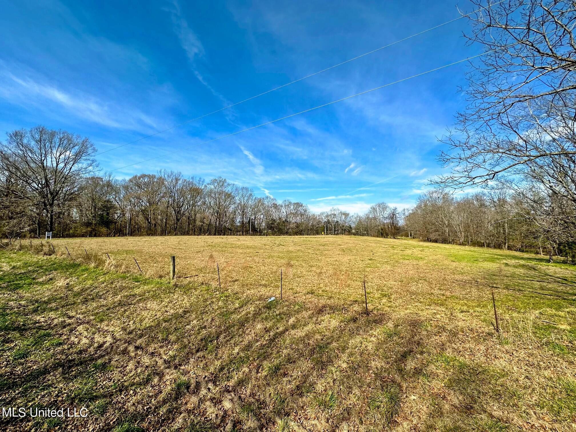1010 North Ratliff Road Jackson, MS 39209 - Photo 1 of 3 IMG_3314