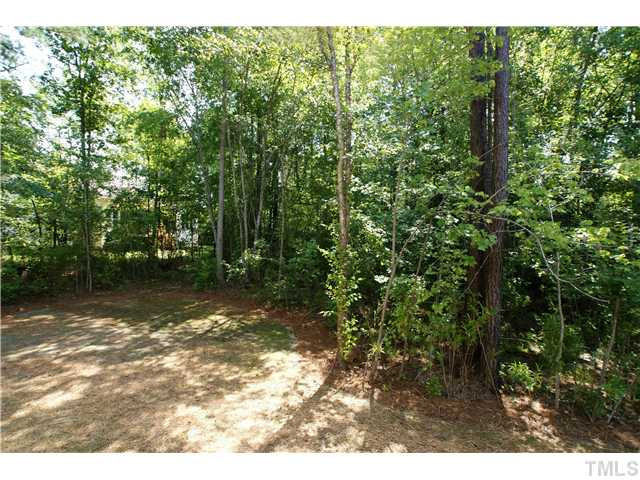 405 Redhill Road Holly Springs, NC 27540 - Photo 21 of 25 Back Yard