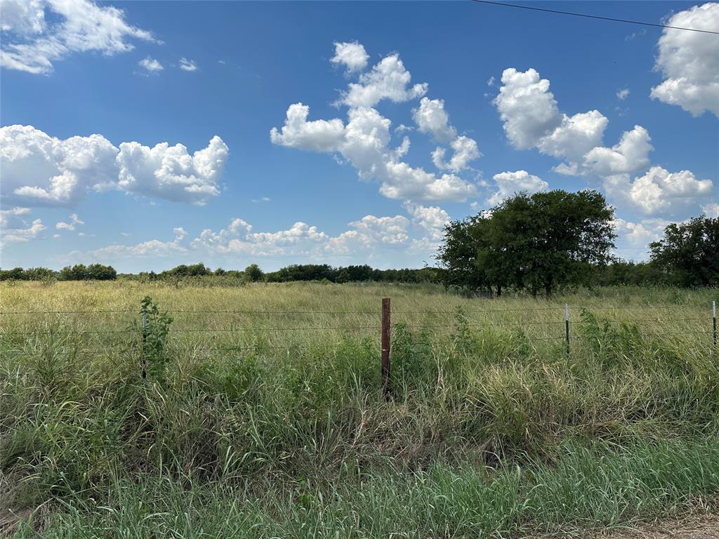 Lot 6 Rutledge Road Whitewright, TX 75491 - Photo 14 of 25