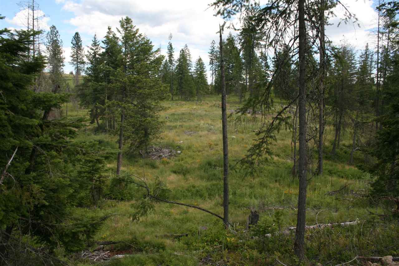 0 Olinger Road, Unit LOT C Springdale, WA 99173 - Photo 1 of 7
