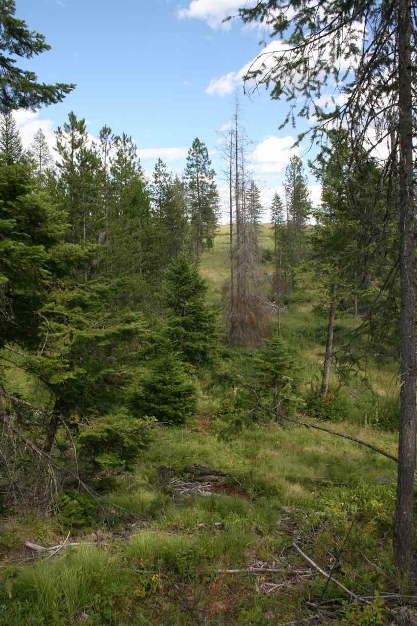 0 Olinger Road, Unit LOT C Springdale, WA 99173 - Photo 3 of 7