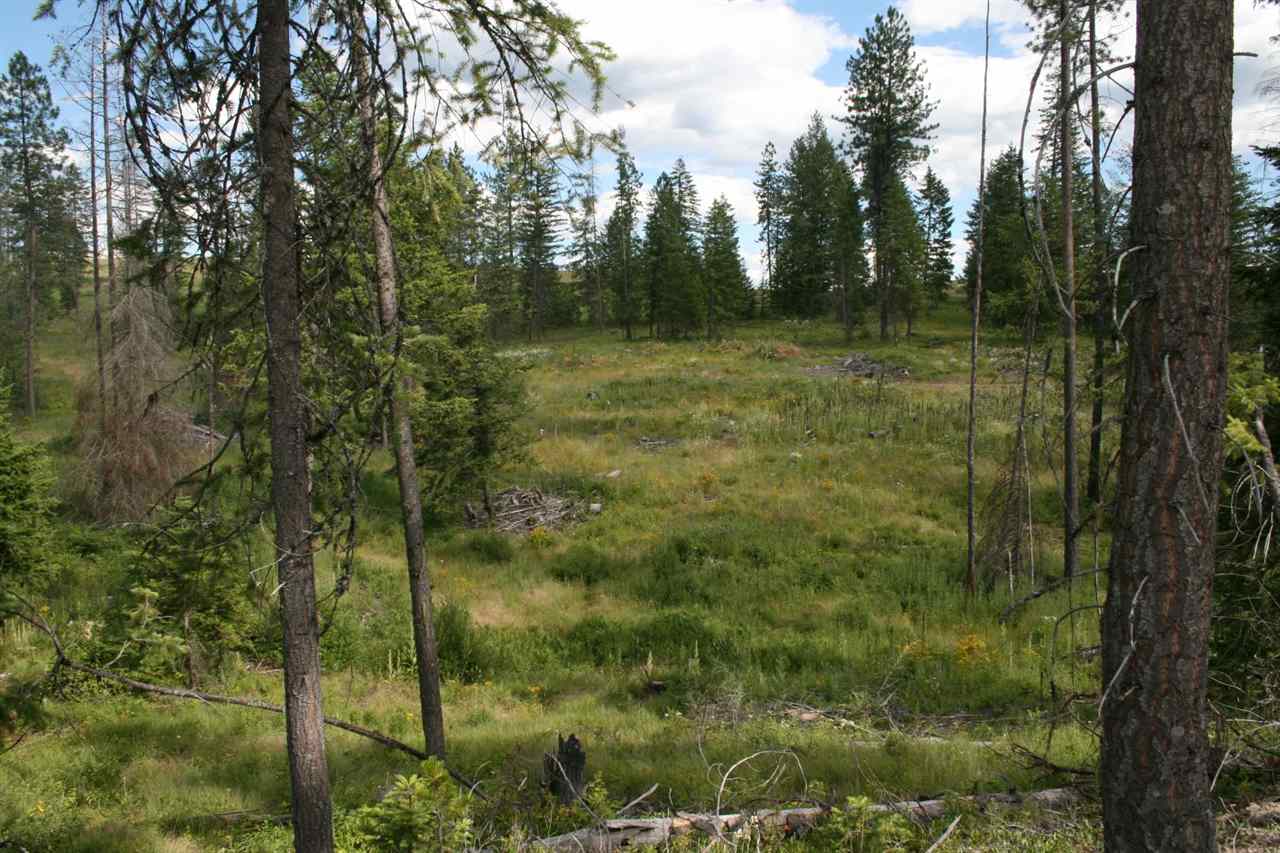0 Olinger Road, Unit LOT C Springdale, WA 99173 - Photo 4 of 7