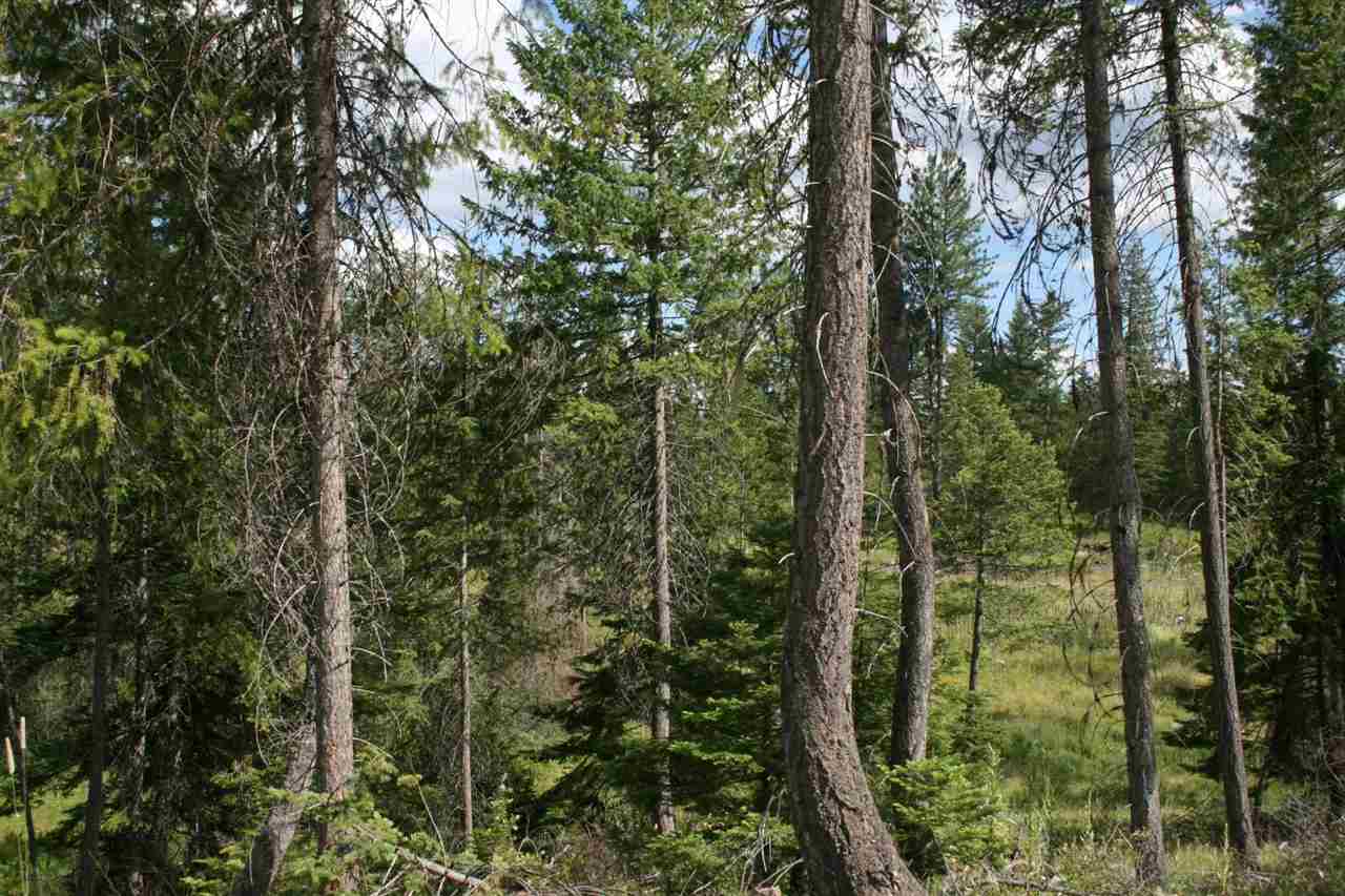 0 Olinger Road, Unit LOT C Springdale, WA 99173 - Photo 6 of 7