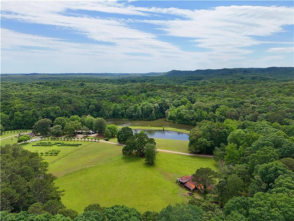 1103 Apple Pie Ridge Road Alto, GA 30510 - Photo 131 of 139