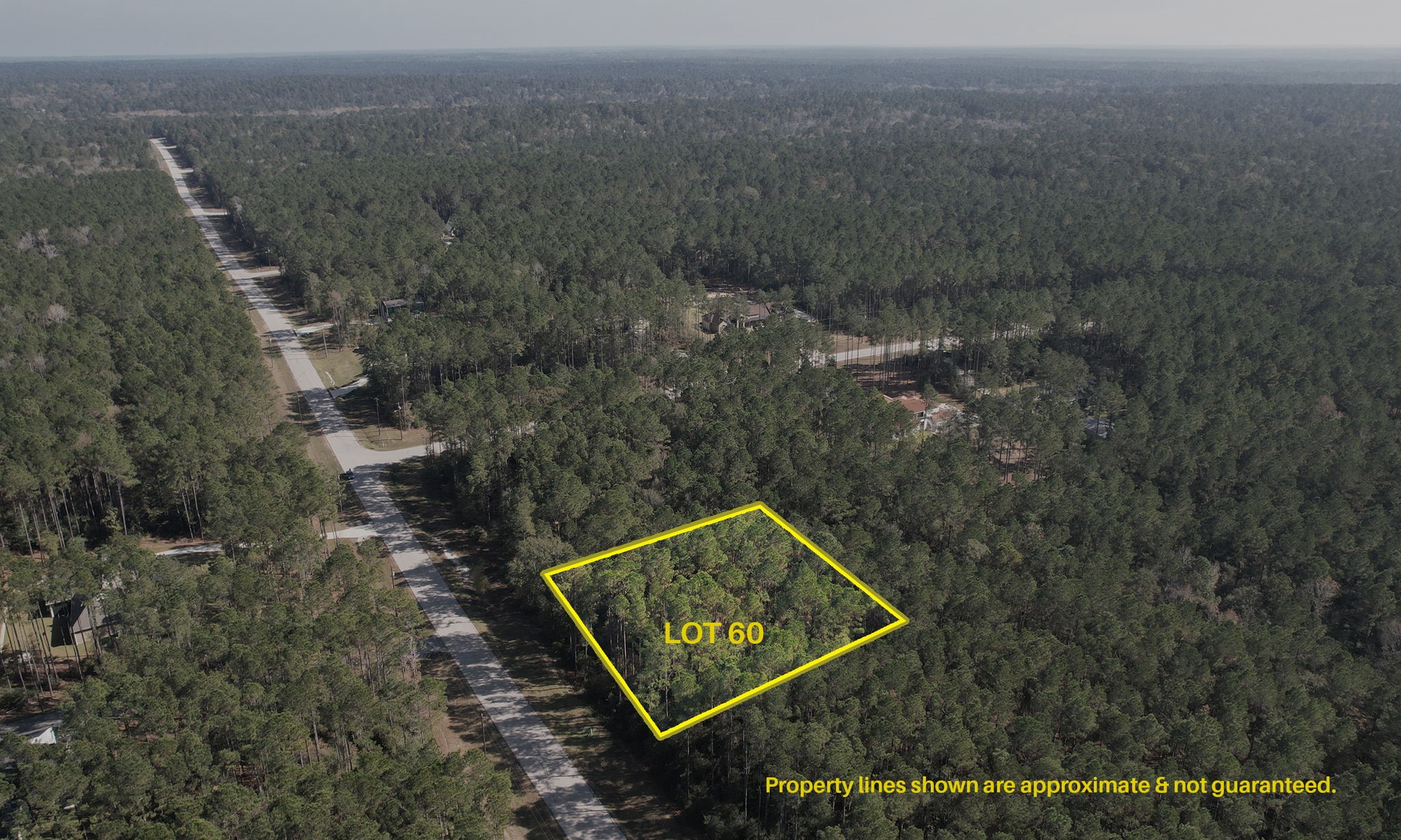 12-22-60 Granite Road Huntsville, TX 77340 - Photo 2 of 10 a view of a field