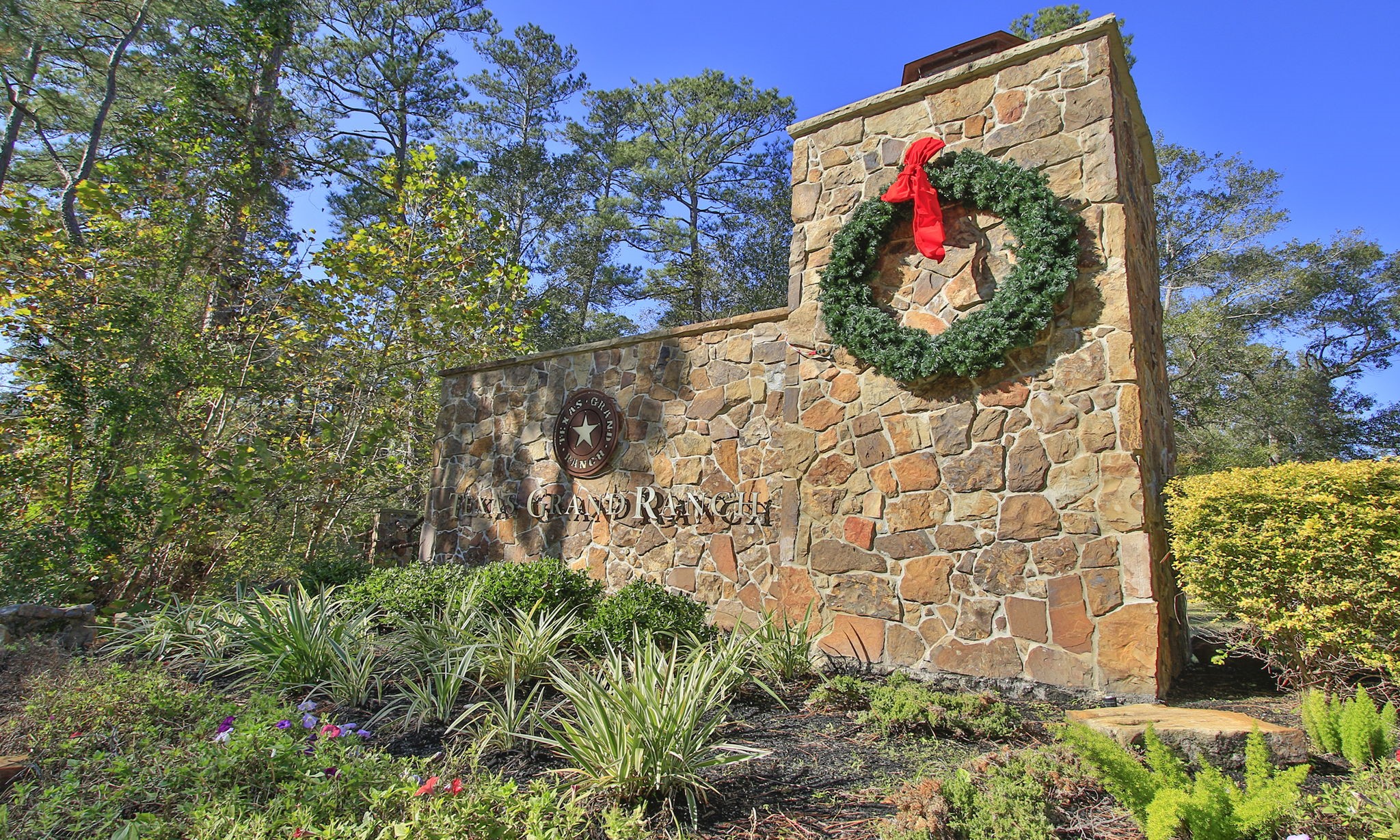 12-22-60 Granite Road Huntsville, TX 77340 - Photo 5 of 10 a view of a painting of a tree