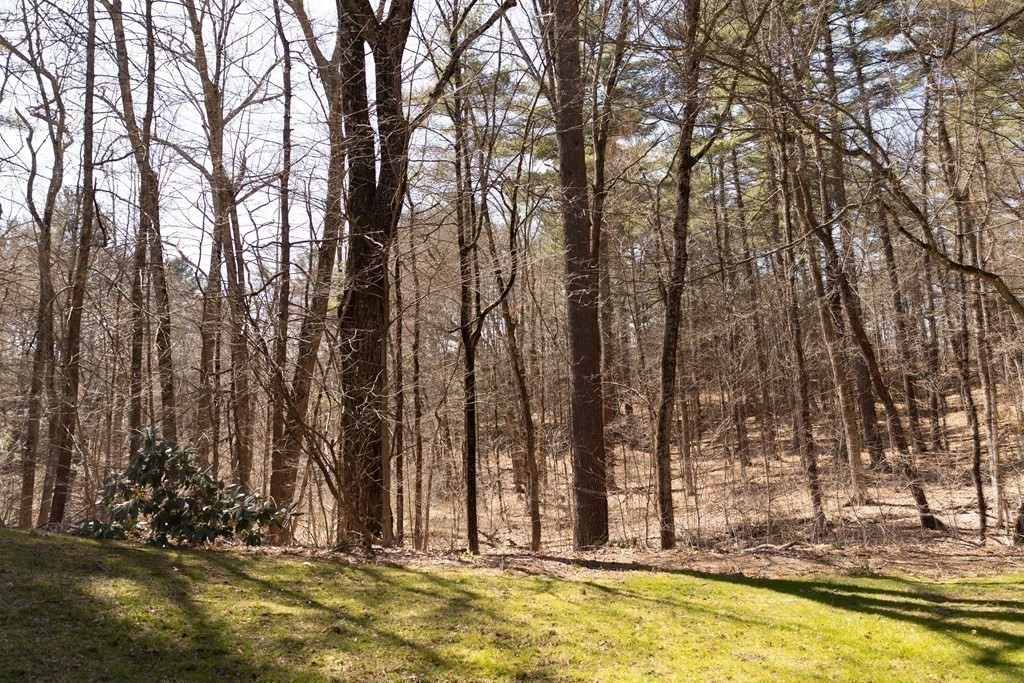 40 Ware Road, Unit 13 Belchertown, MA 01007 - Photo 30 of 33 Gallery Image 30