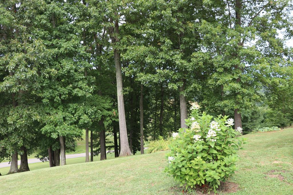 20363 Haskell Station Road Bristol, VA 24202 - Photo 31 of 56 75170_30