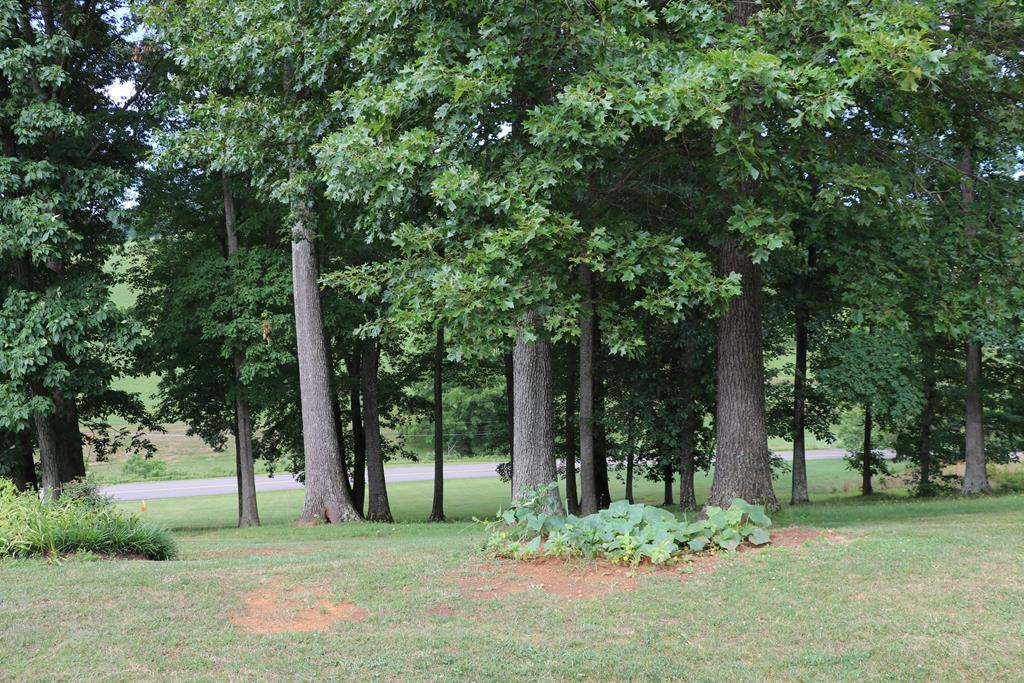 20363 Haskell Station Road Bristol, VA 24202 - Photo 32 of 56 75170_31