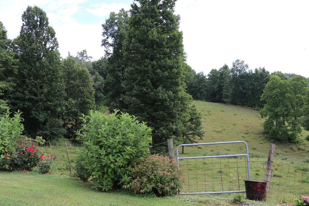 20363 Haskell Station Road Bristol, VA 24202 - Photo 36 of 56 75170_35