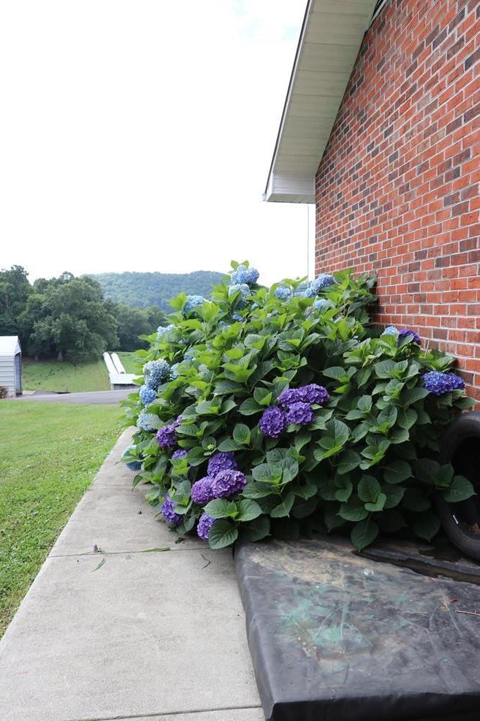 20363 Haskell Station Road Bristol, VA 24202 - Photo 40 of 56 75170_39