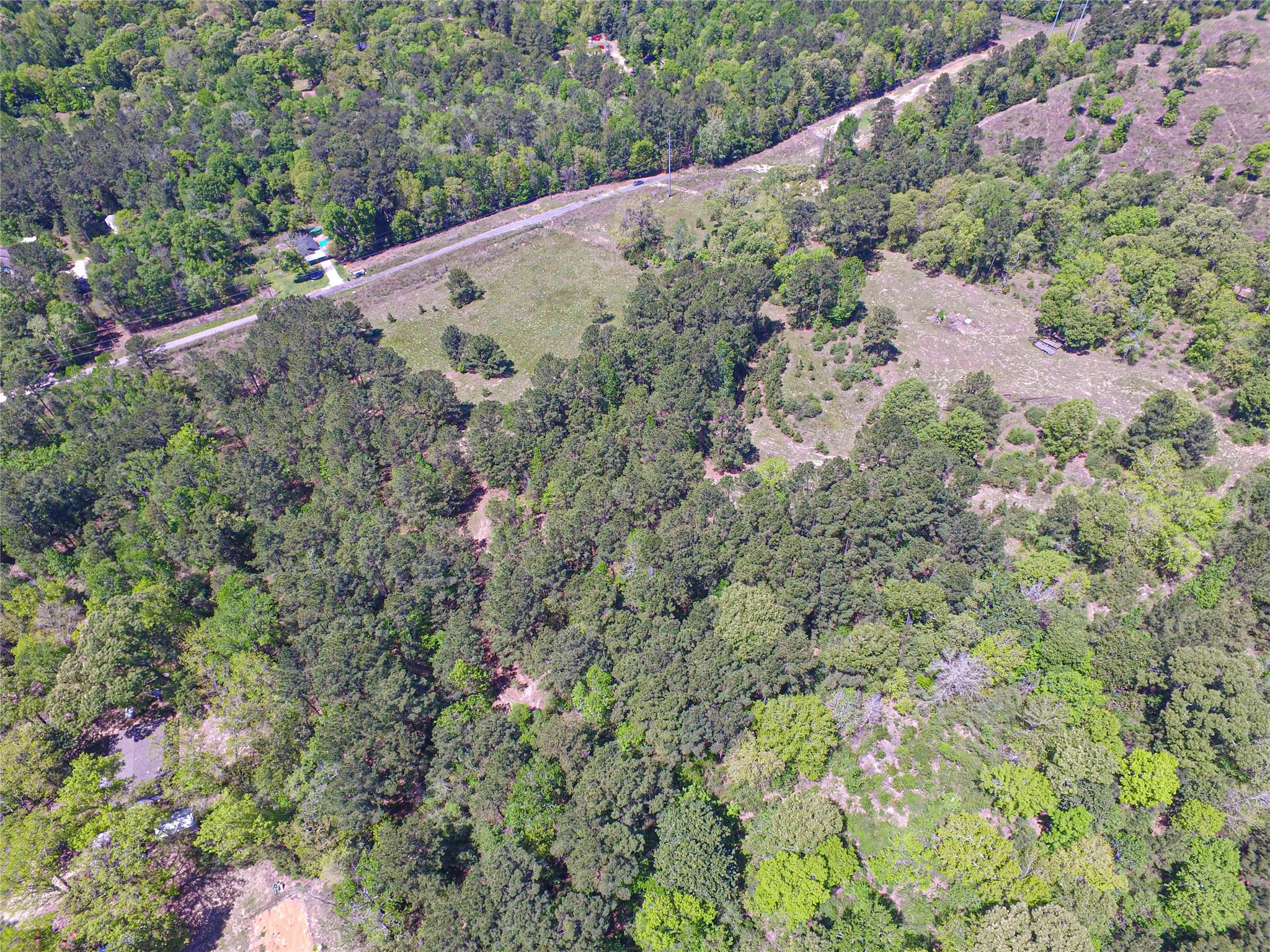 280 Waka Livingston, TX 77351 - Photo 11 of 26 a view of a forest with a tree