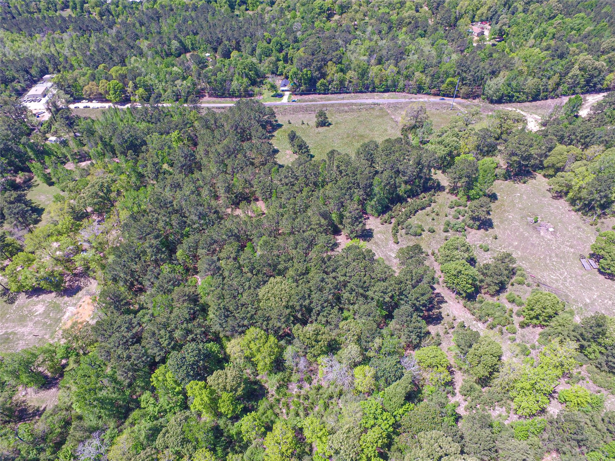 280 Waka Livingston, TX 77351 - Photo 12 of 26 a view of a forest with a tree