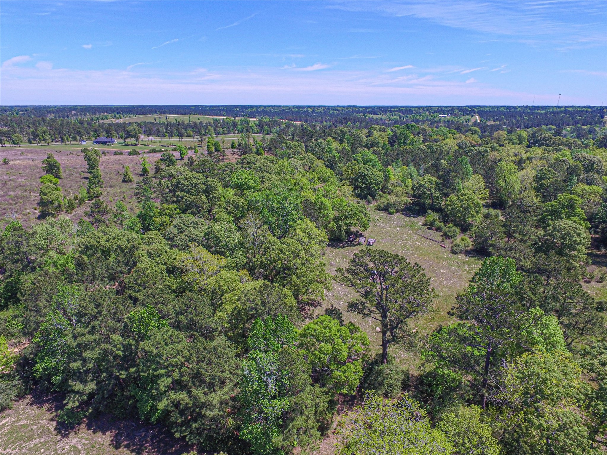 280 Waka Livingston, TX 77351 - Photo 16 of 26 a view of a green field with lots of bushes