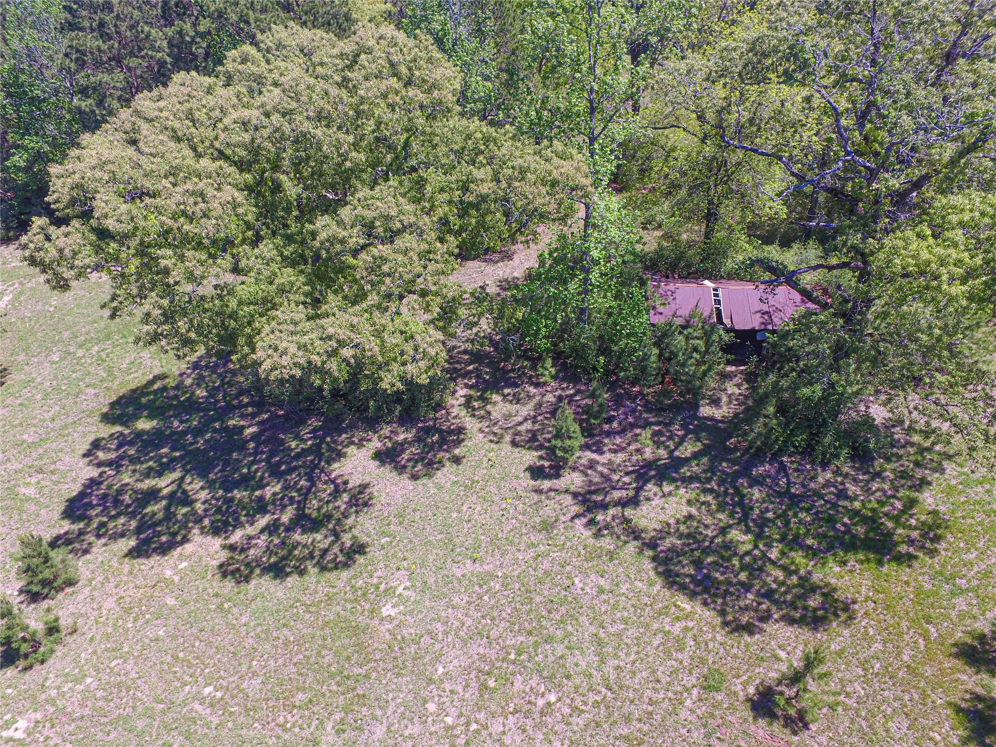 280 Waka Livingston, TX 77351 - Photo 17 of 26 a view of a yard with plants and wooden fence