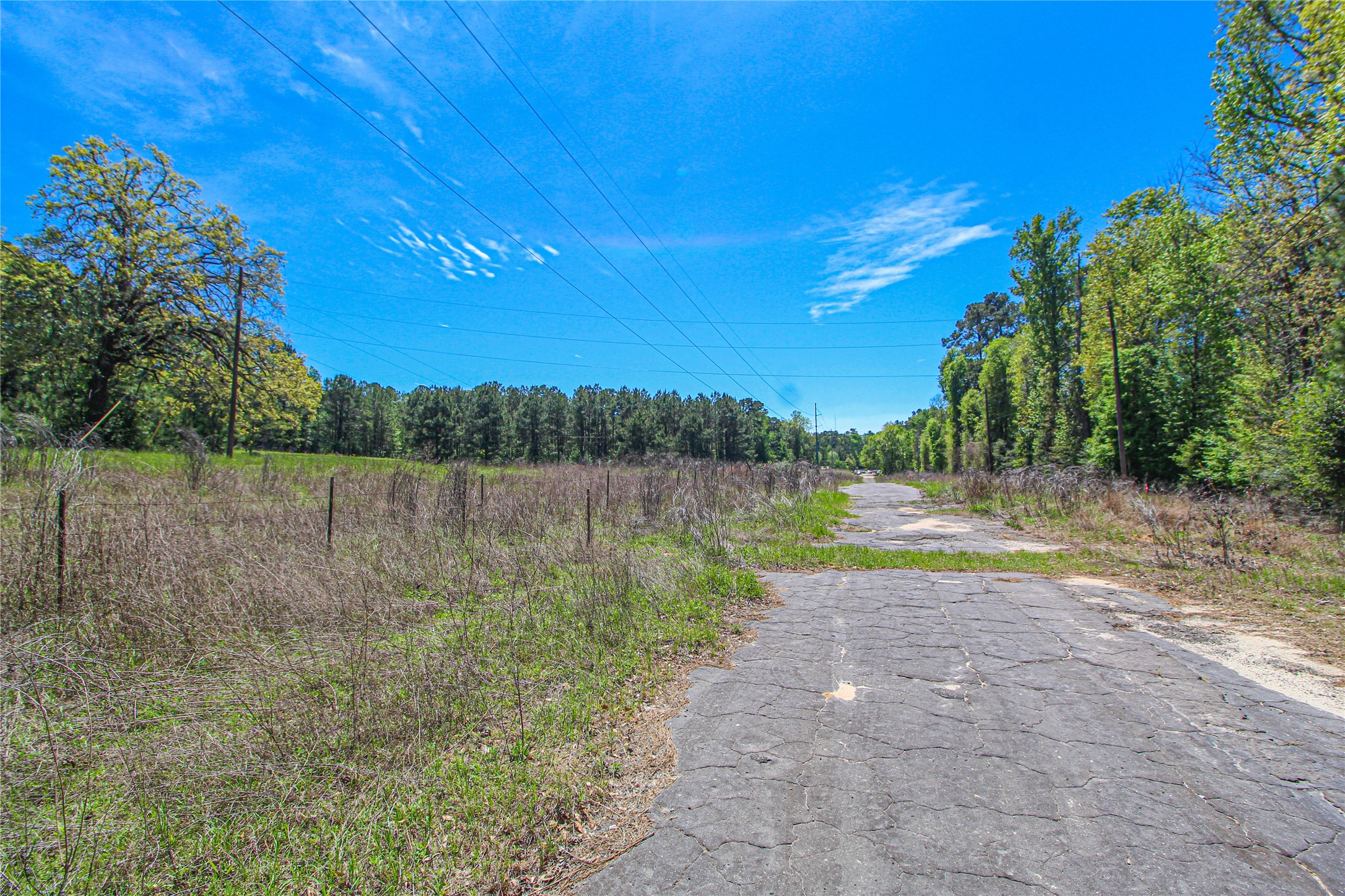280 Waka Livingston, TX 77351 - Photo 20 of 26 a view of lake with green space