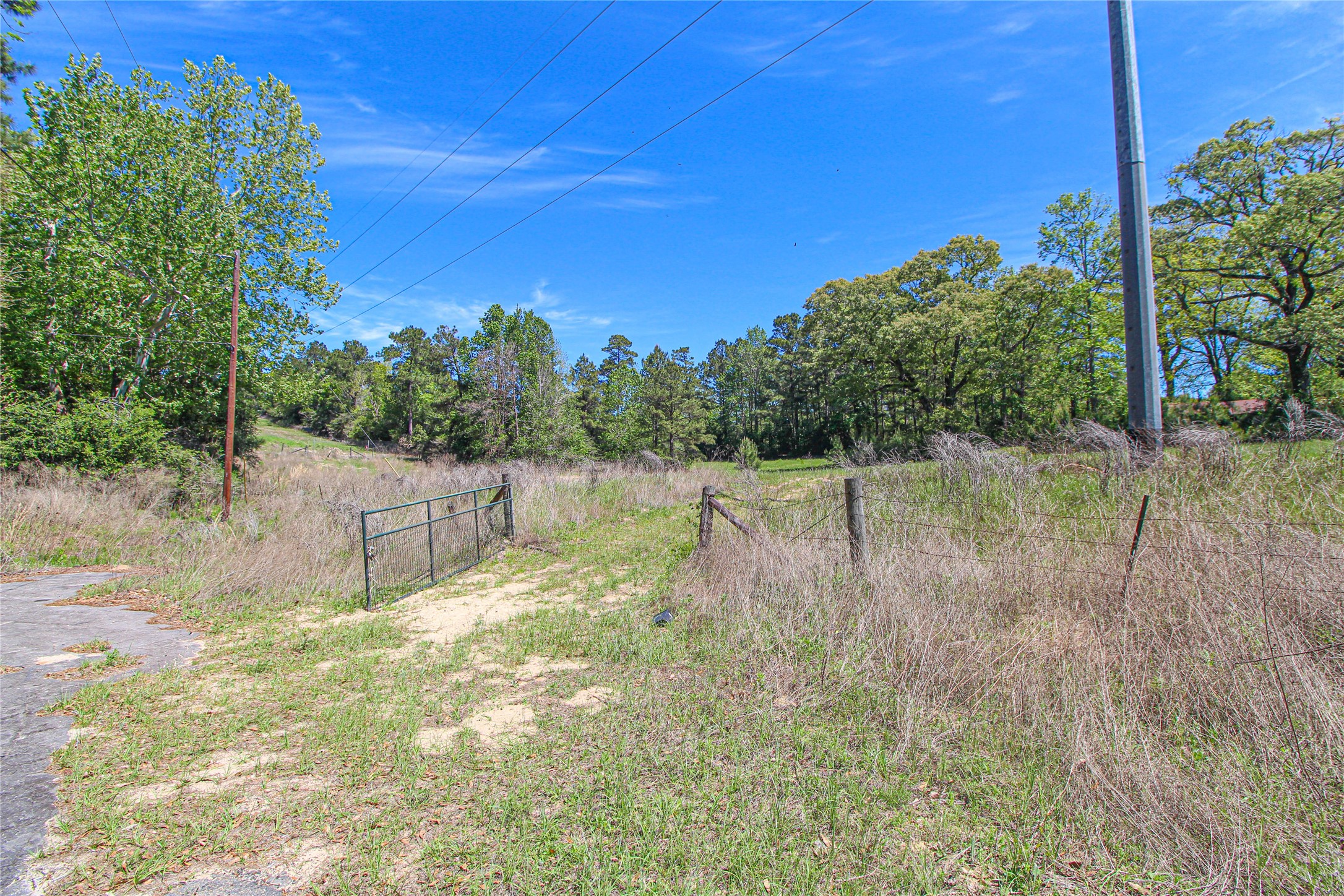 280 Waka Livingston, TX 77351 - Photo 21 of 26 a backyard of a house with lots of green space