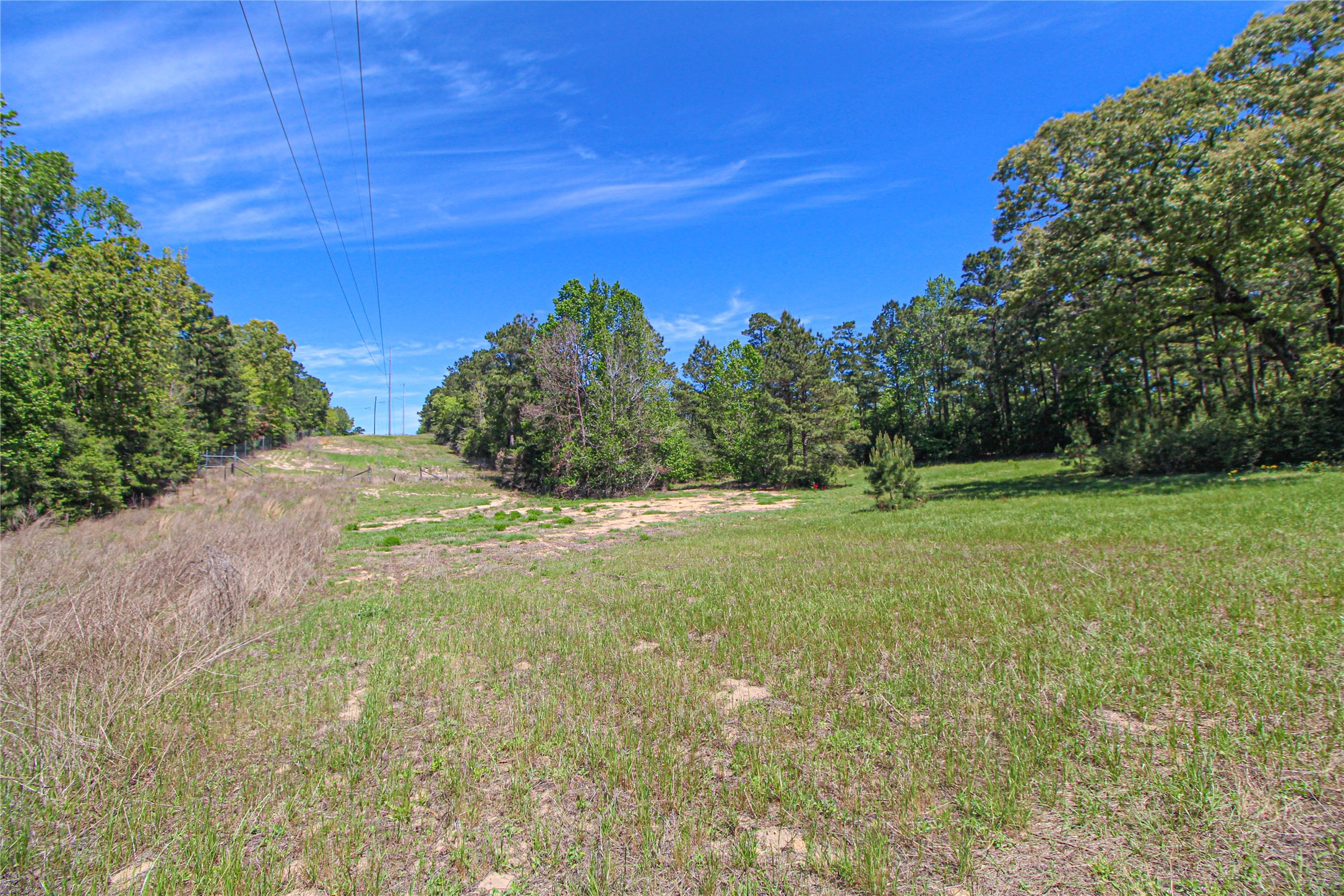 280 Waka Livingston, TX 77351 - Photo 22 of 26 a view of a field with an trees