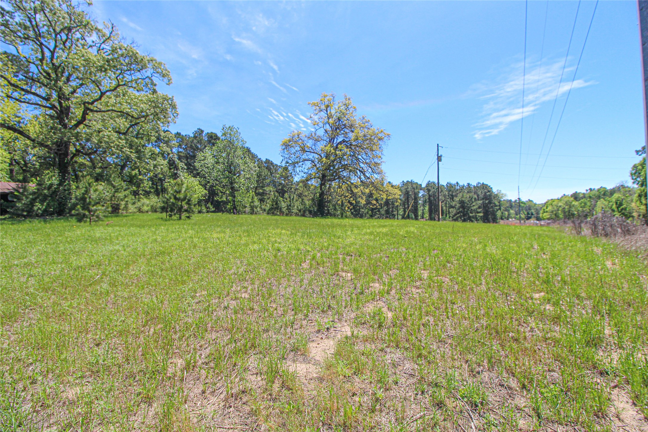 280 Waka Livingston, TX 77351 - Photo 23 of 26 a view of a green field with trees in the background