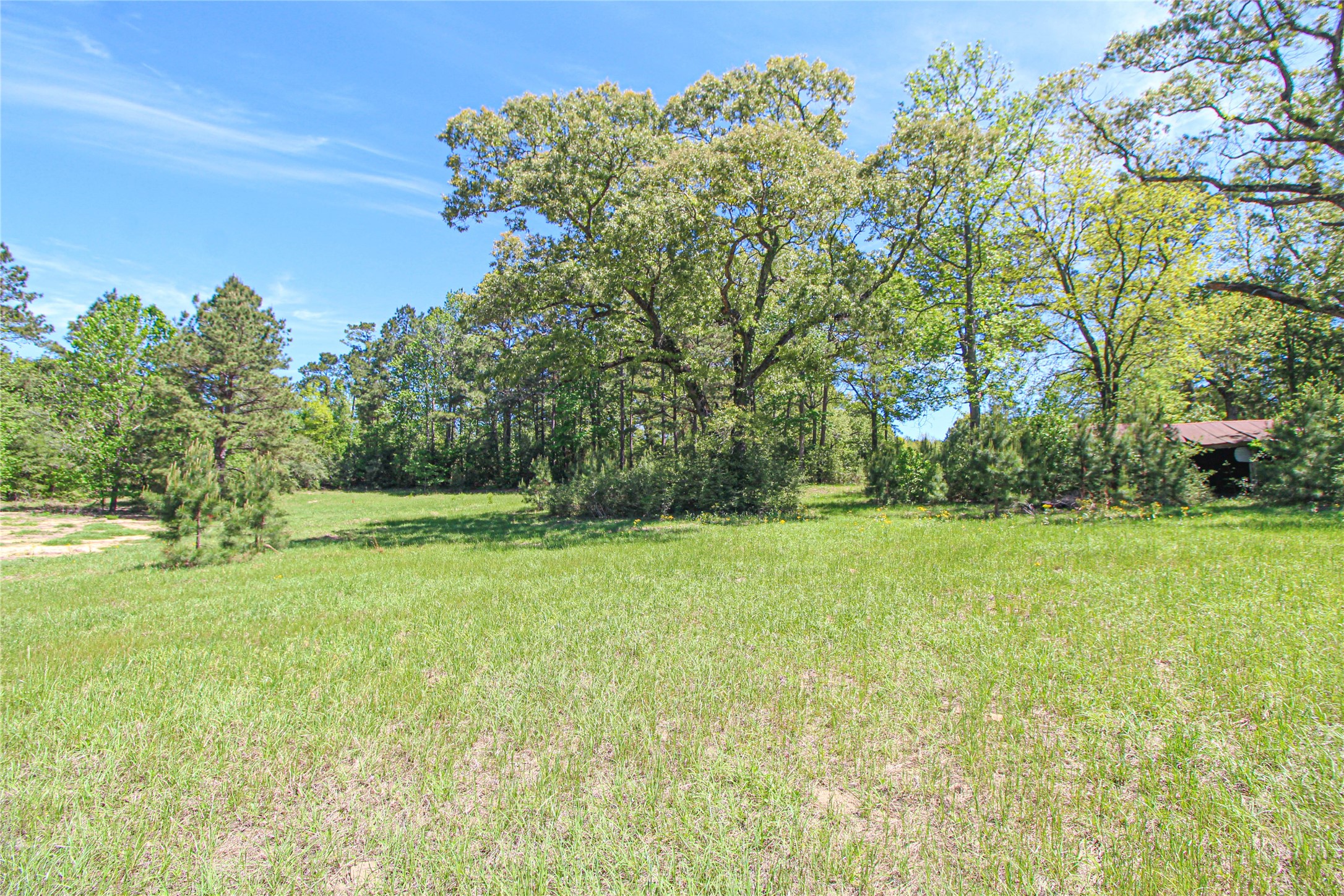 280 Waka Livingston, TX 77351 - Photo 24 of 26 a view of a field of grass and trees