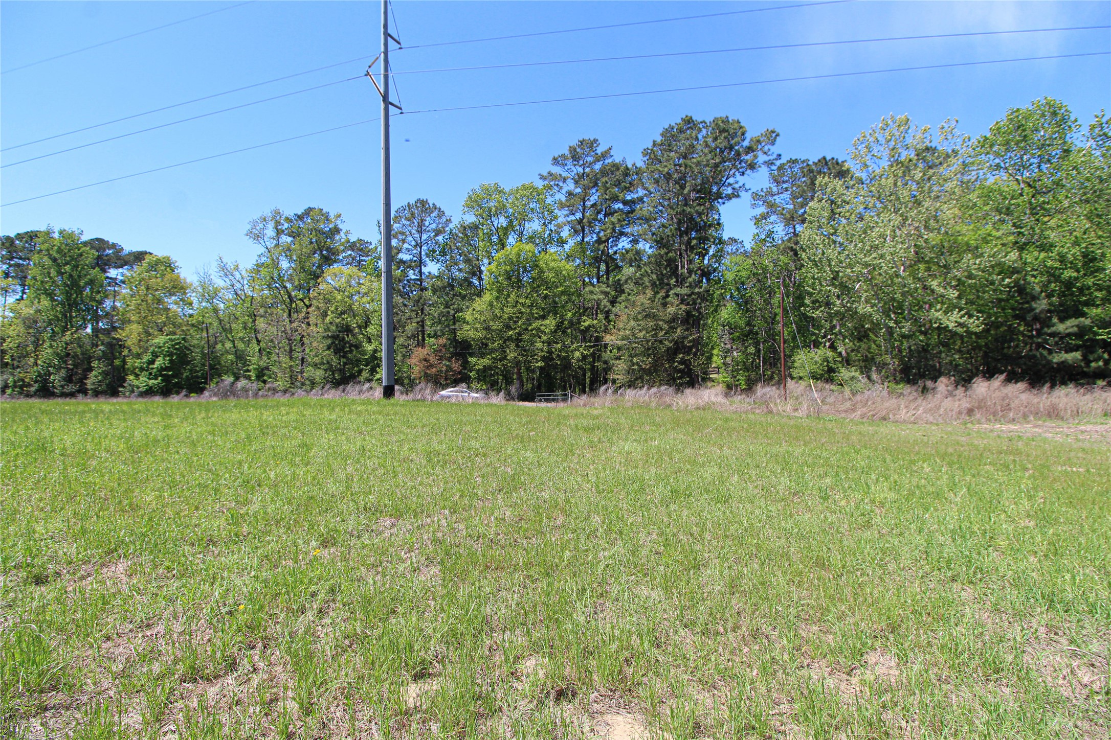 280 Waka Livingston, TX 77351 - Photo 25 of 26 a view of a field