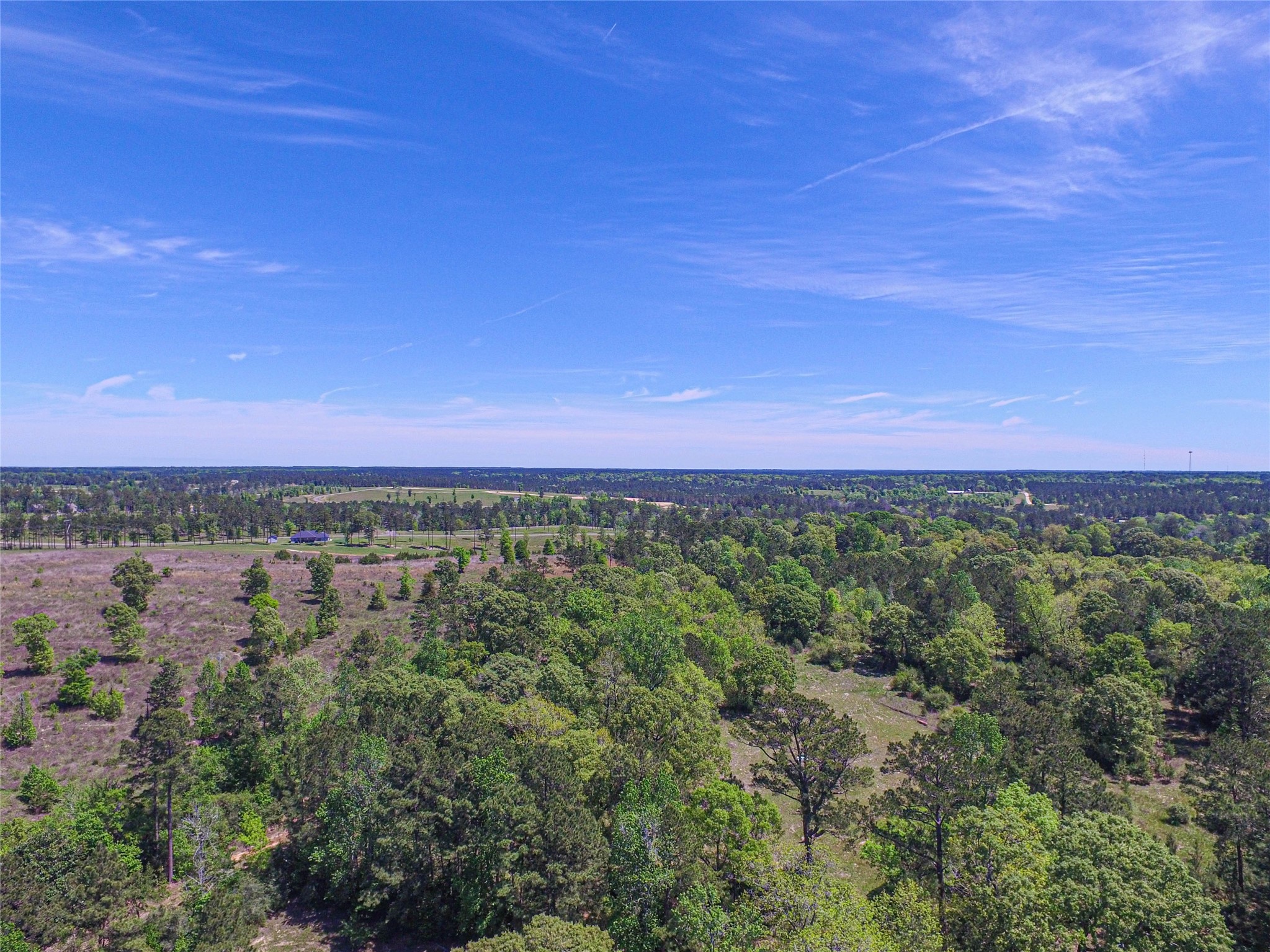 280 Waka Livingston, TX 77351 - Photo 3 of 26 a view of a green field with lots of bushes