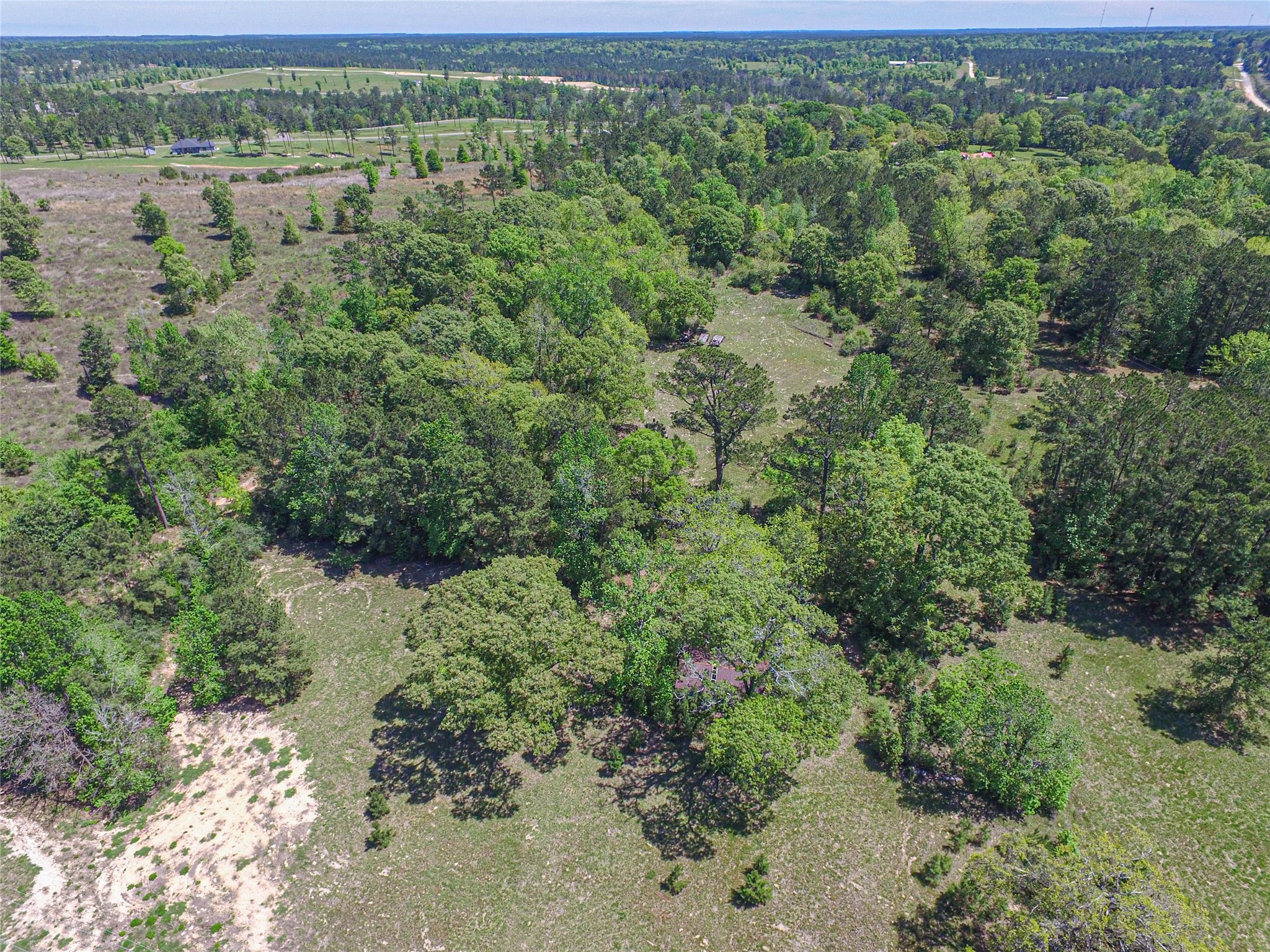 280 Waka Livingston, TX 77351 - Photo 4 of 26 a view of a forest with a street