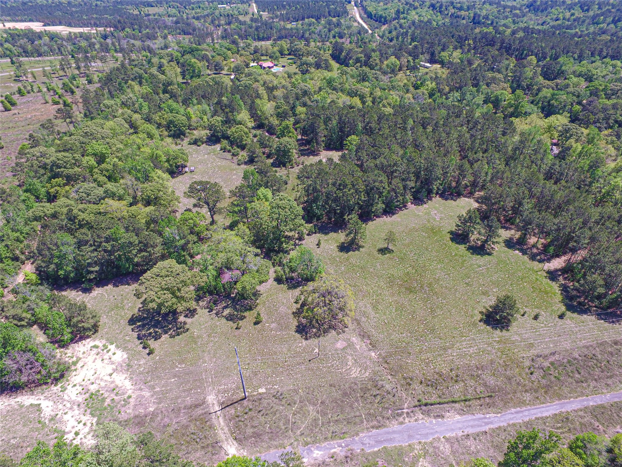 280 Waka Livingston, TX 77351 - Photo 6 of 26 a view of a tree with a yard