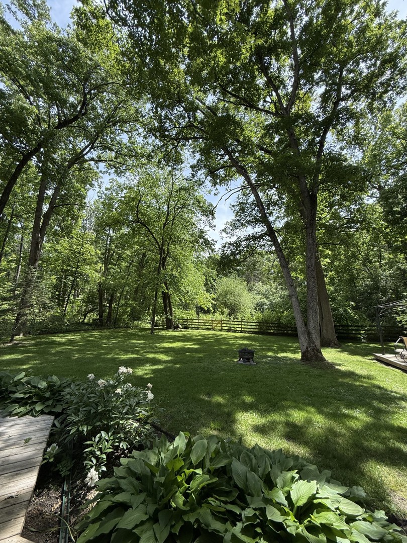 2841 Orange Brace Road Deerfield, IL 60015 - Photo 30 of 30 a big yard with lots of green space and trees