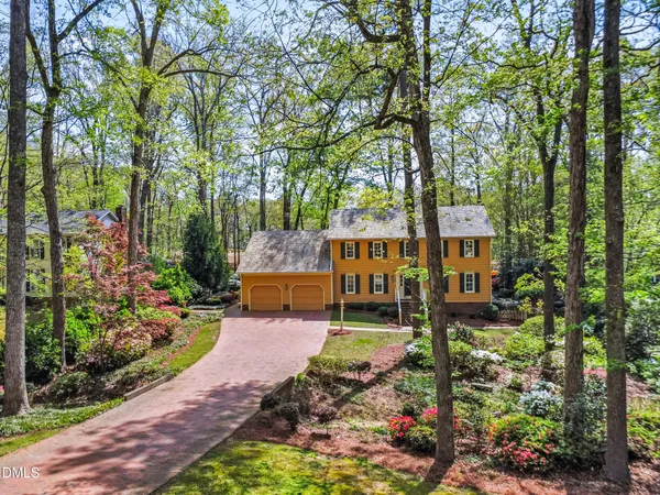 a view of a green yard with large trees