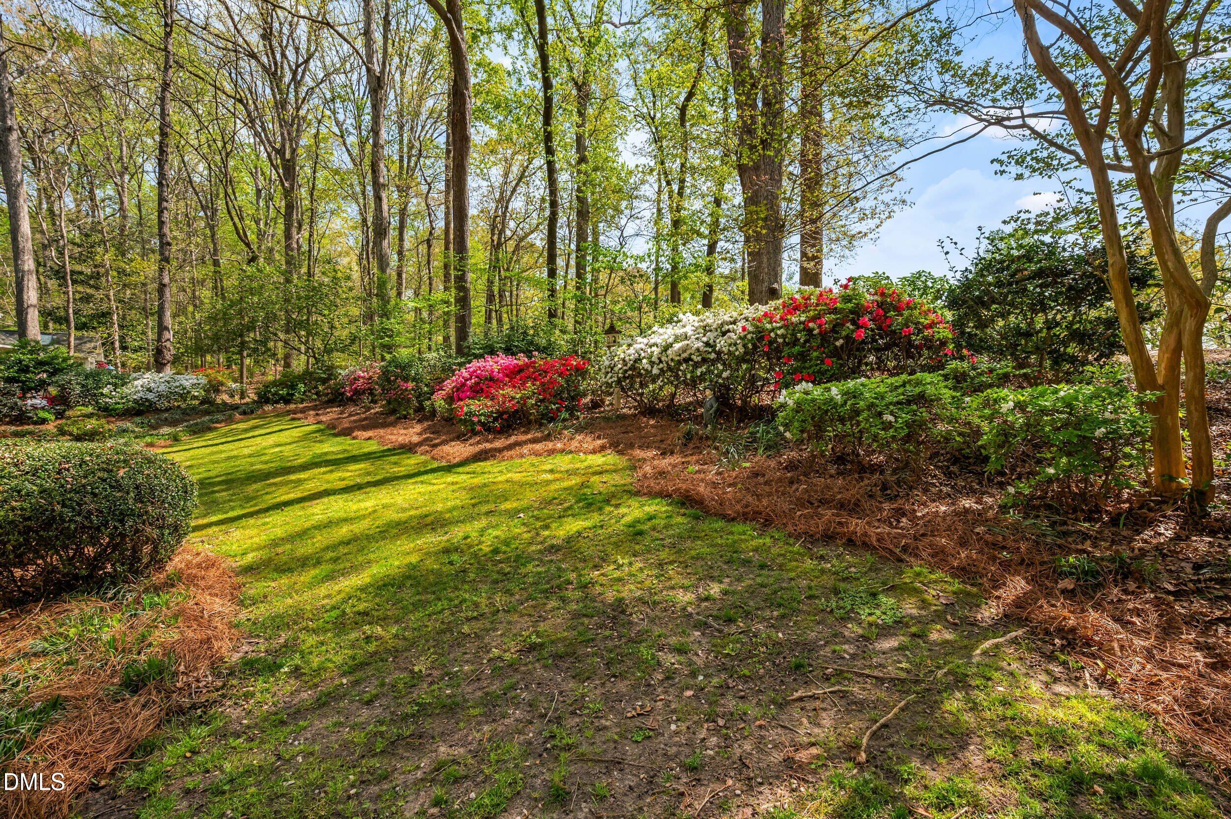 109 Queensferry Road Cary, NC 27511 - Photo 40 of 48 a view of a field with plants and trees