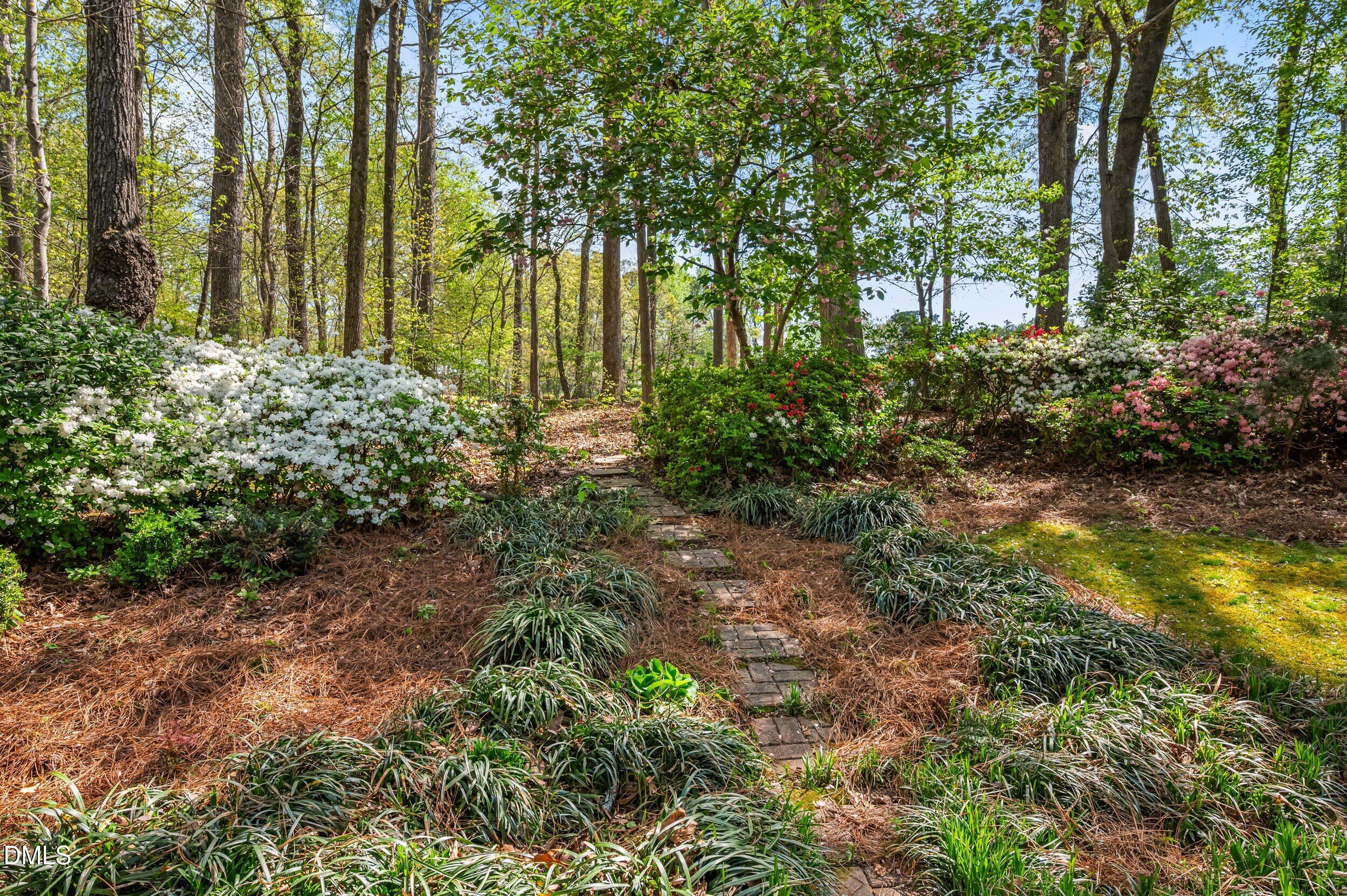 109 Queensferry Road Cary, NC 27511 - Photo 41 of 48 a view of yard