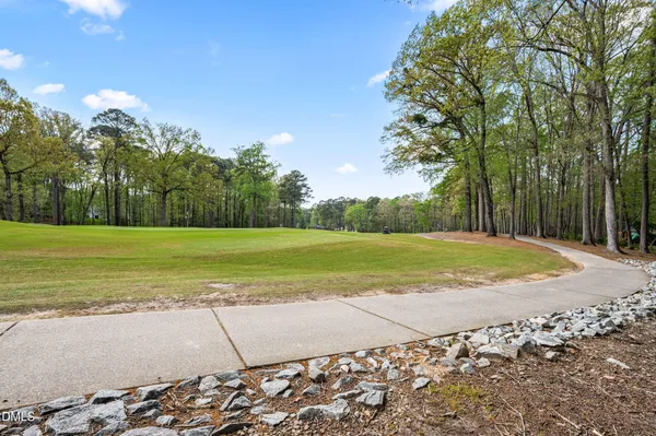 a view of a yard with large trees